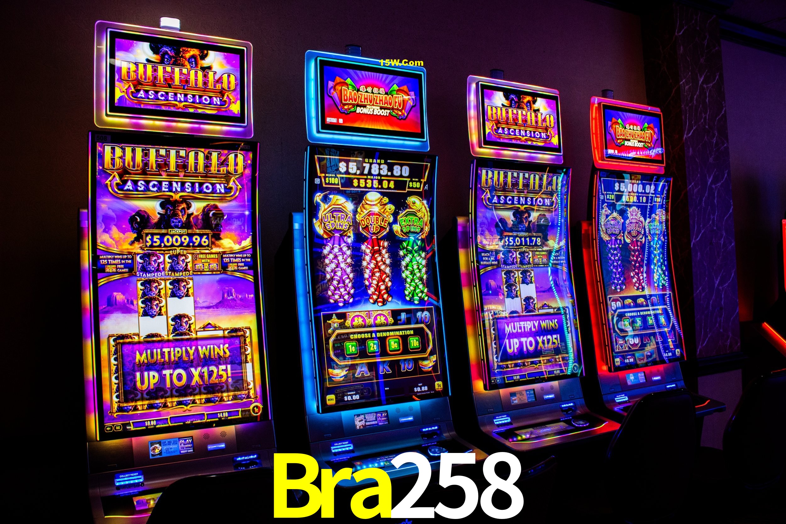 Player Reviews Bra258